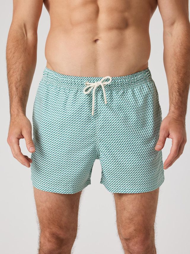 Borg Print Swim Shorts, Bb Bosque Swim 1 fra Björn Borg