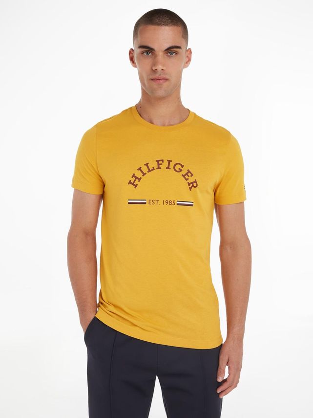 Tommy Hilfiger Rwb Arch Gs Tee - Fantastisk tilbud!