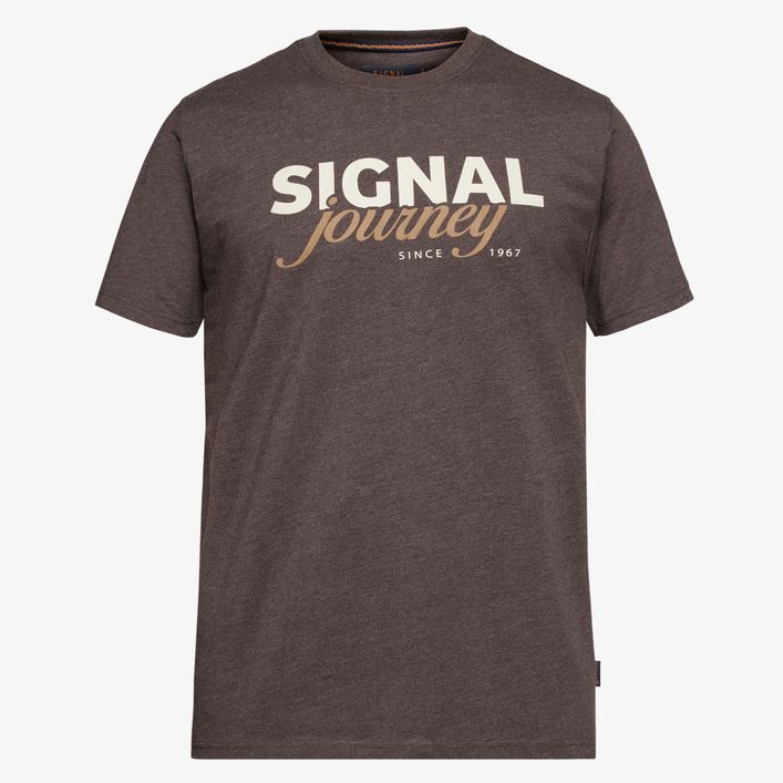 Dizzysi Logo Tee + med "Signal Journey" print