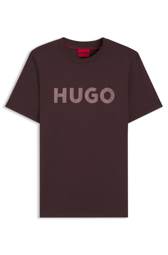 Dulivio fra Hugo