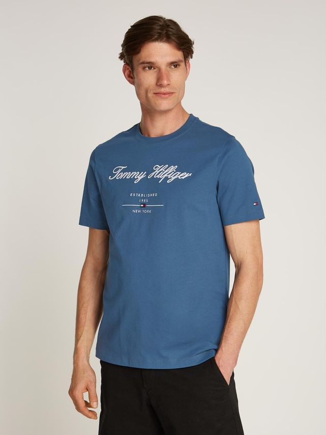 Script Logo Tee fra Tommy Hilfiger