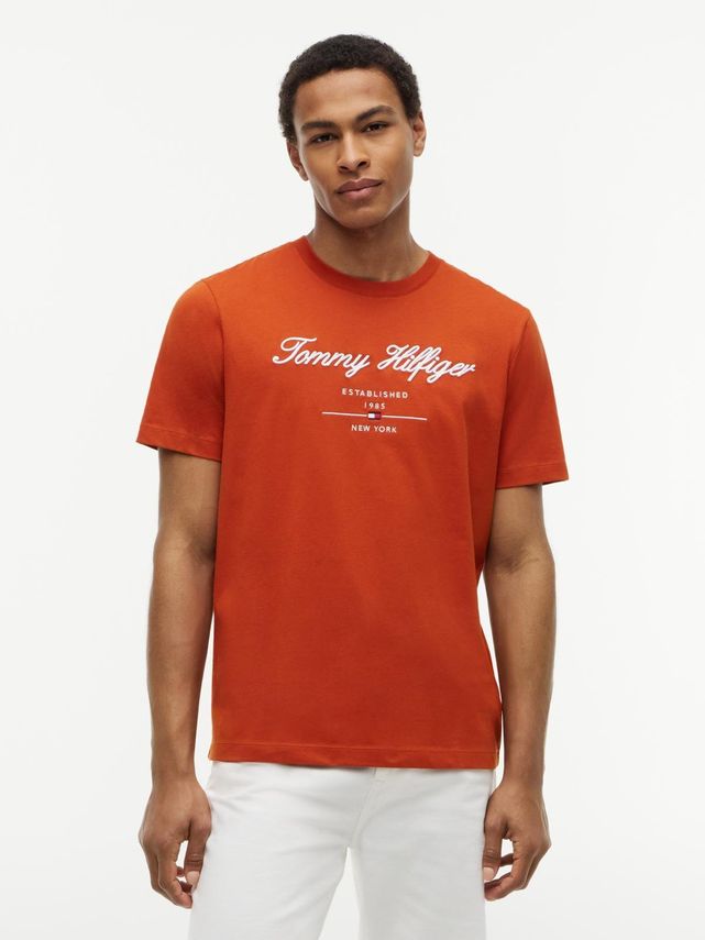 Script Logo Tee fra Tommy Hilfiger