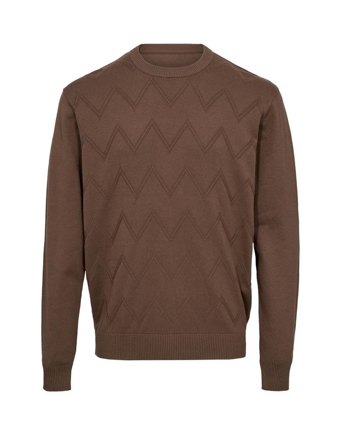 Mens Knit Regular Fit fra Thomas Regency